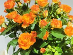 -何兮花店·气球派对鲜花店(马桥银春路万科城店)