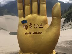 -佛掌沙丘
