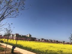 -呈贡滇池生态湿地公园