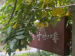 -绿房子方寸咖啡(星海名城店)