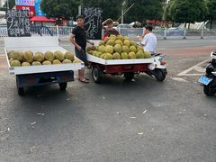-海吉星市场