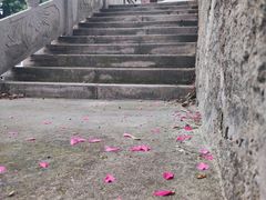 -余姚市灵岩禅寺