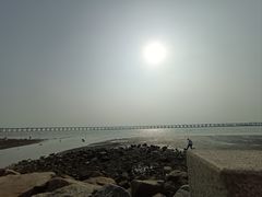 -宝安西湾红树林湿地公园