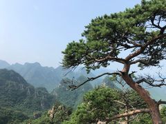 -大连天门山国家森林公园