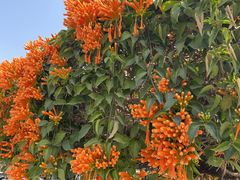 -中国移动南方基地