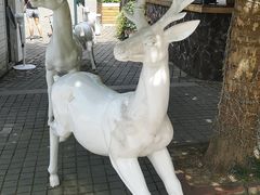 -四川省成都市彭州市白鹿镇