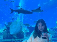 -亚特兰蒂斯•OSSIANO奥西亚诺海底餐厅