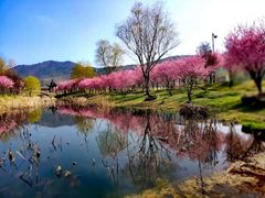 -石塘人家