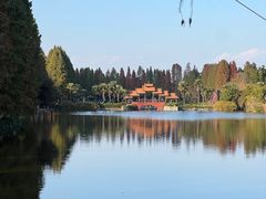 -云南民族村