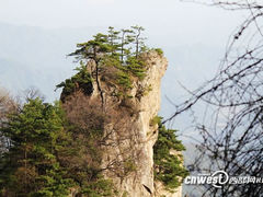 -王顺山国家森林公园