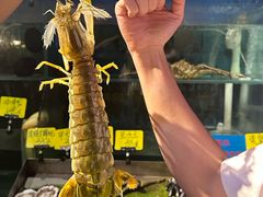 -辉记炭烧海鲜大排档·老字号(福田店)