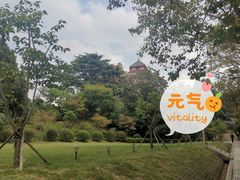 -青岛德国总督楼旧址博物馆