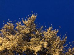 -第四食堂(中国海洋大学店)