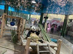 -栾川竹海野生动物园