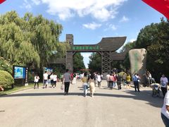 -溱湖国家湿地公园