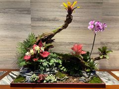 -白天鹅宾馆-玉堂春暖餐厅