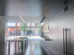 -Apple零售店(中街大悦城店)