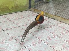 -荆州中山公园动物园