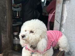 -南门黄孃甜不辣