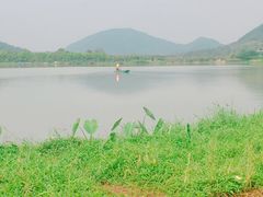 -风云岭森林公园