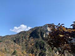 -老界岭旅游度假区