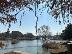 -苏州太湖国家湿地公园