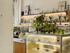 -绿小院(荔湾店)