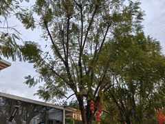 -西江印象酒楼