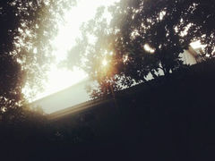 android_upload_pic-湖南烈士公园(芙蓉区)