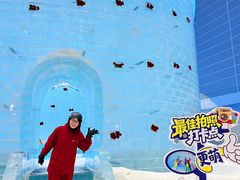-广州热雪奇迹