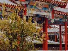 -南山公园
