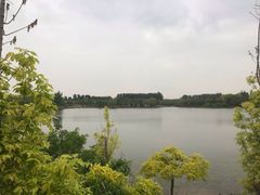 -东郊湿地公园