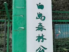 -长白岛森林公园