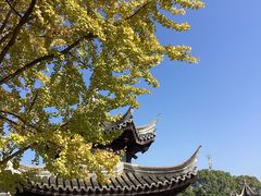 -八大山人梅湖景区