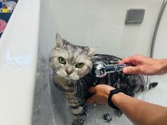 -FAELING PETS美天灵宠物(富力广场店)
