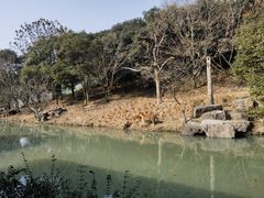 -宁波野生动物园