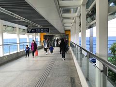 -龙眠大道(地铁站)