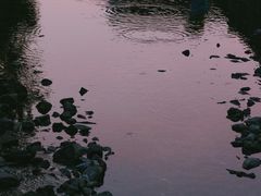 -东钱湖旅游度假区