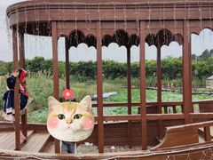 -大塘金香草谷