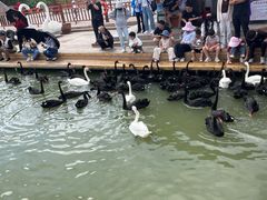 -黄沙古渡原生态旅游区