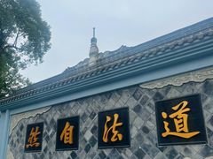 -青羊宫