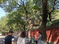 门面-北京国子监胡同
