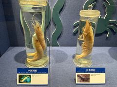 -大连自然博物馆