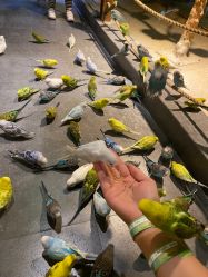 -酷嗒动物文化乐园(cutezoo西溪乐天城店)