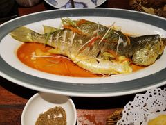 -前海沿·青岛菜(五四广场永旺店)