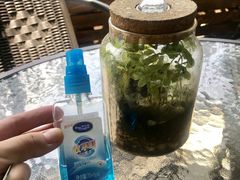 -柴犬高等学院·狗咖·柴犬售卖·宠物训练