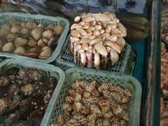 -清水湾3号(东方小周海鲜店)