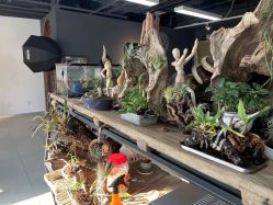 -周忆刺青原创设计定制