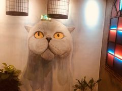 -小肥猫餐厅(海宁万朵城店)