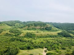 -塞罕坝国家级自然保护区